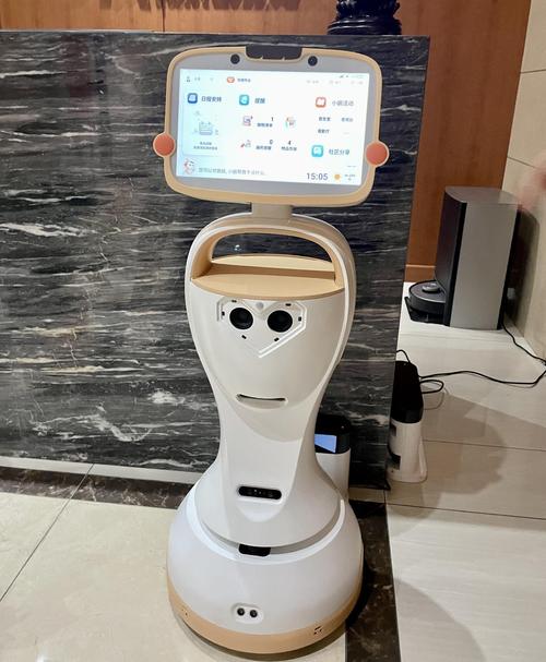 長者陪伴機器人 智能時代下的溫情守候